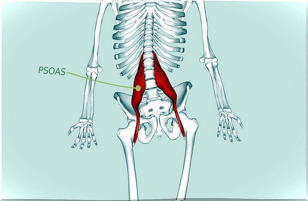 psoas, the muscle of the soul