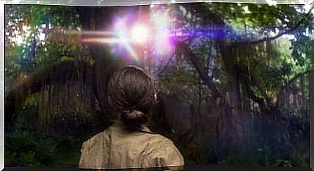 Scene from the movie 'Annihilation'