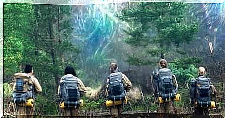 Scene from the movie 'Annihilation'