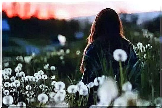 woman in field of dandelions