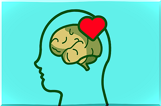 brain and heart