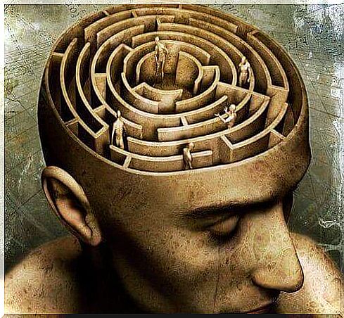 the labyrinths of the human mind