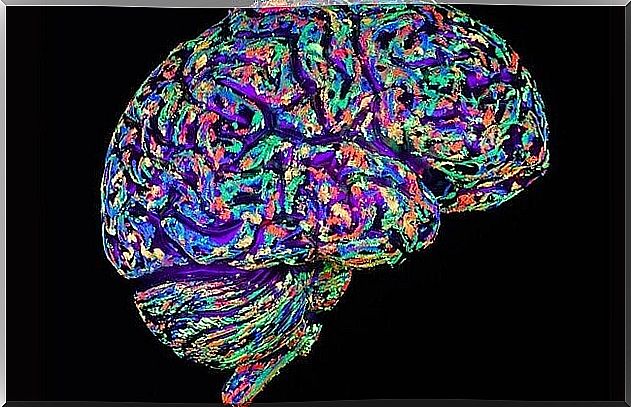 Colored brain showing connections