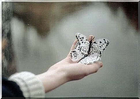 hand holding butterflies