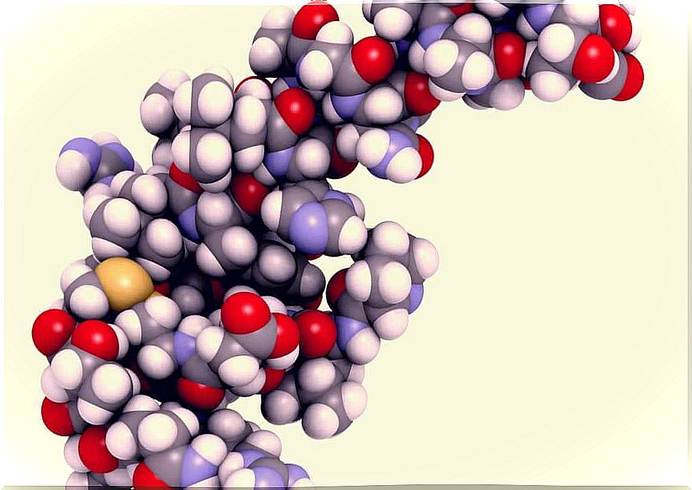 Hypocretin: characteristics and functions