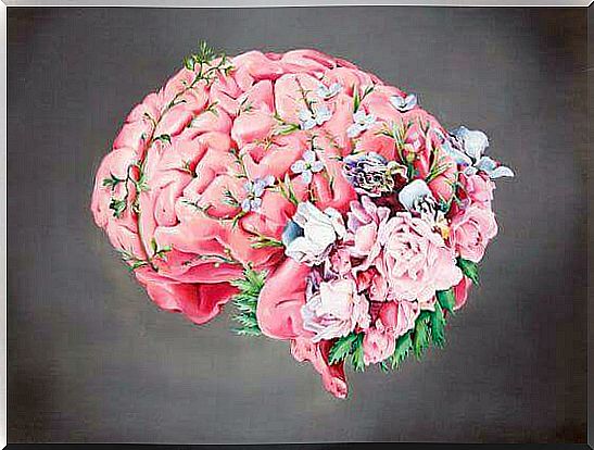 brain flowers