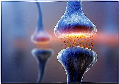 Types of synapses: neuronal communication