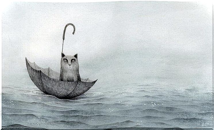 cat floating in the sea in an umbrella